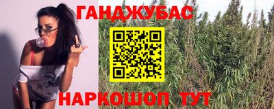 spice Гусев