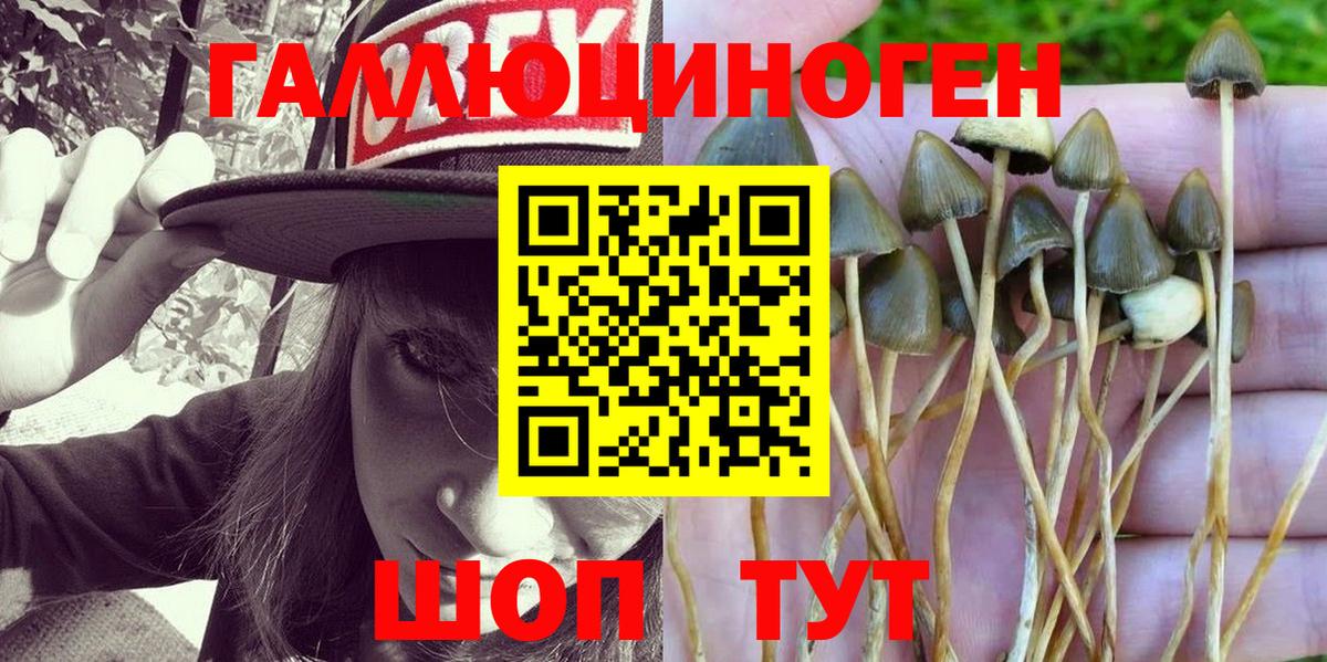 Псилоцибиновые грибы Psilocybe  Вход с VPN  Мичуринск  Псилоцибиновые грибы мухоморы 